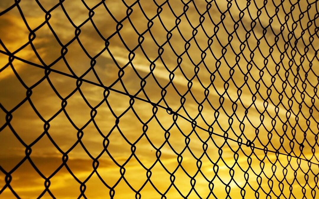 Hosting Security &raquo; Your Website’s Super Shield: Understanding Hosting SecurityQuick…